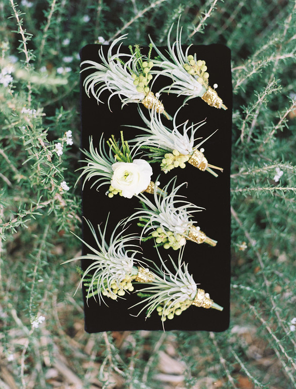 Air plant and white ranunculus boutonnieres for the groomsmen