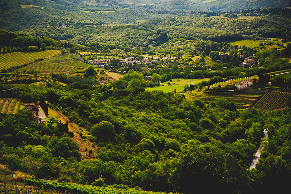 Tuscan Vineyard Wedding Destination