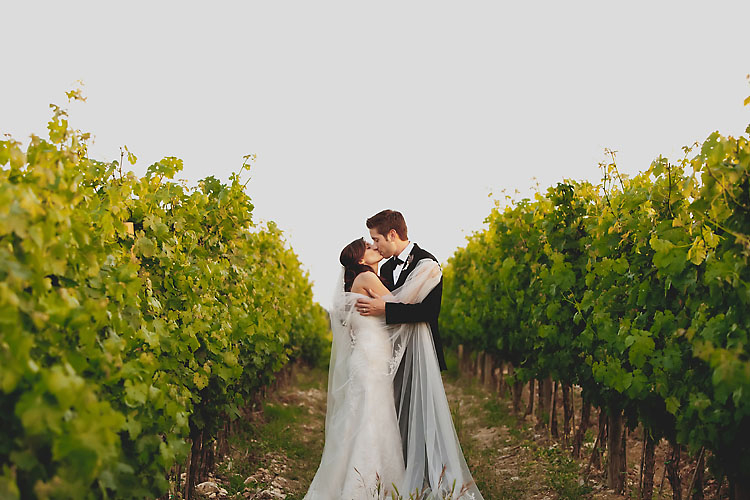 Bride and groom portrait in Italian Vineyard in Greve Italy