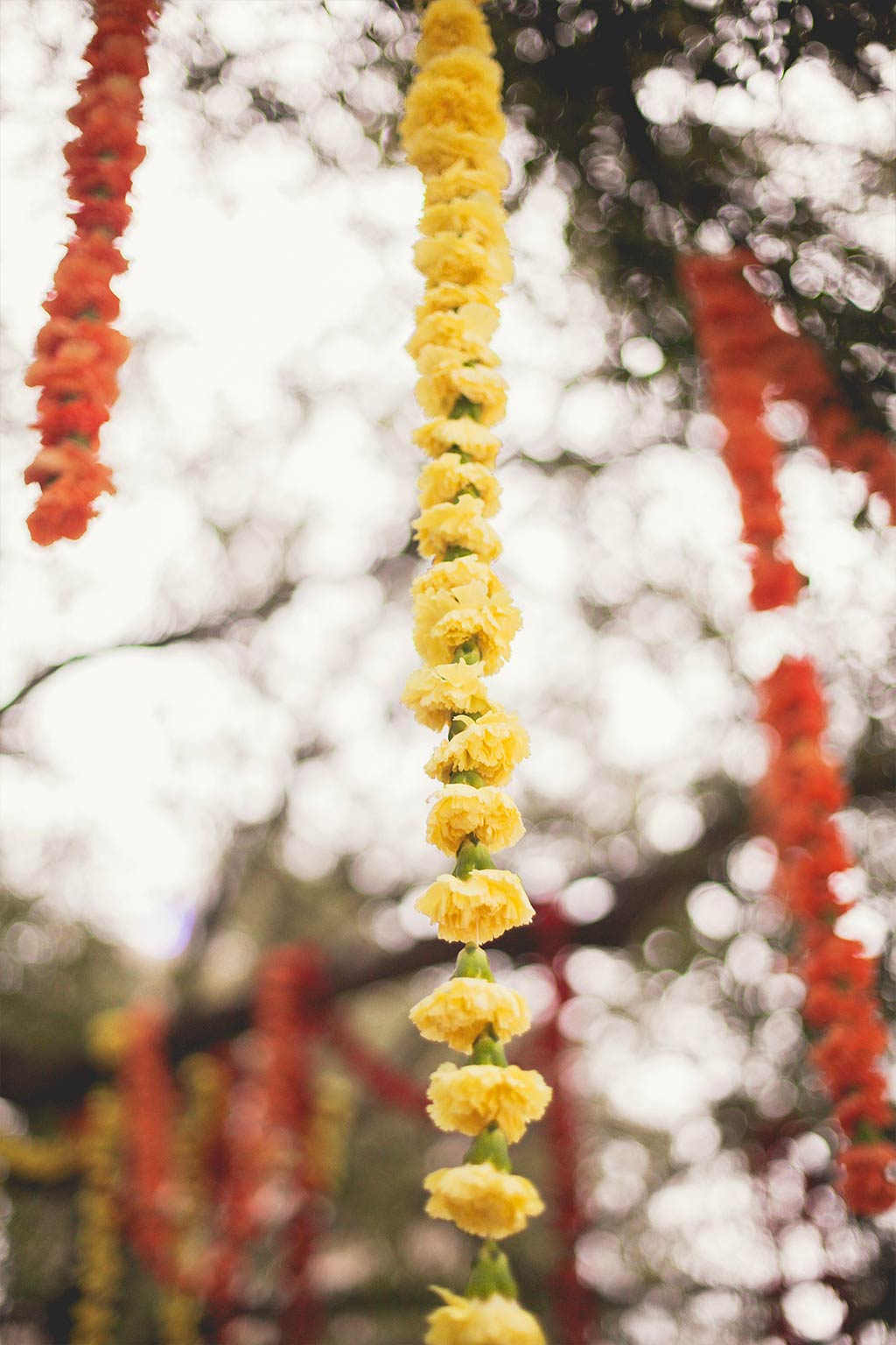Carnation garlands hanging from tree for Hindu wedding ceremony