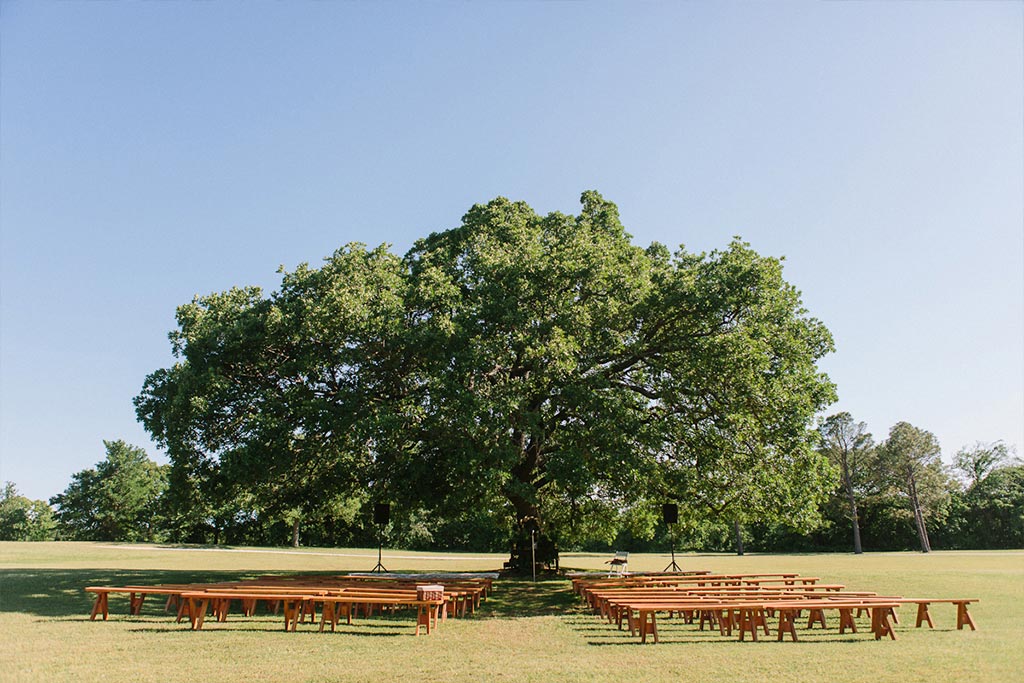 Wedding ceremony setup under oak tree with wooden benches at White Oaks Ranch in Texas