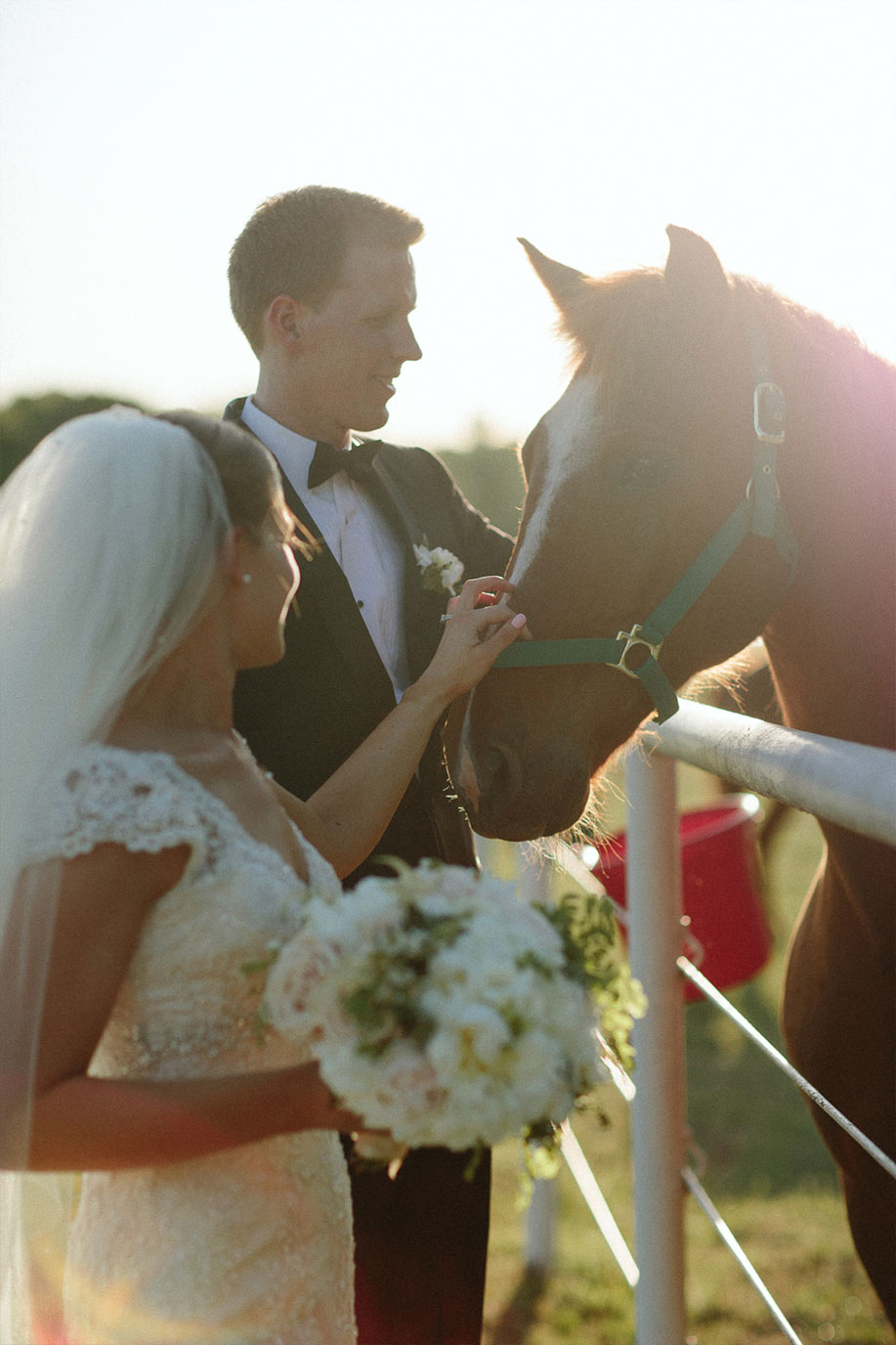 Bride and groom wedding portrait with horse