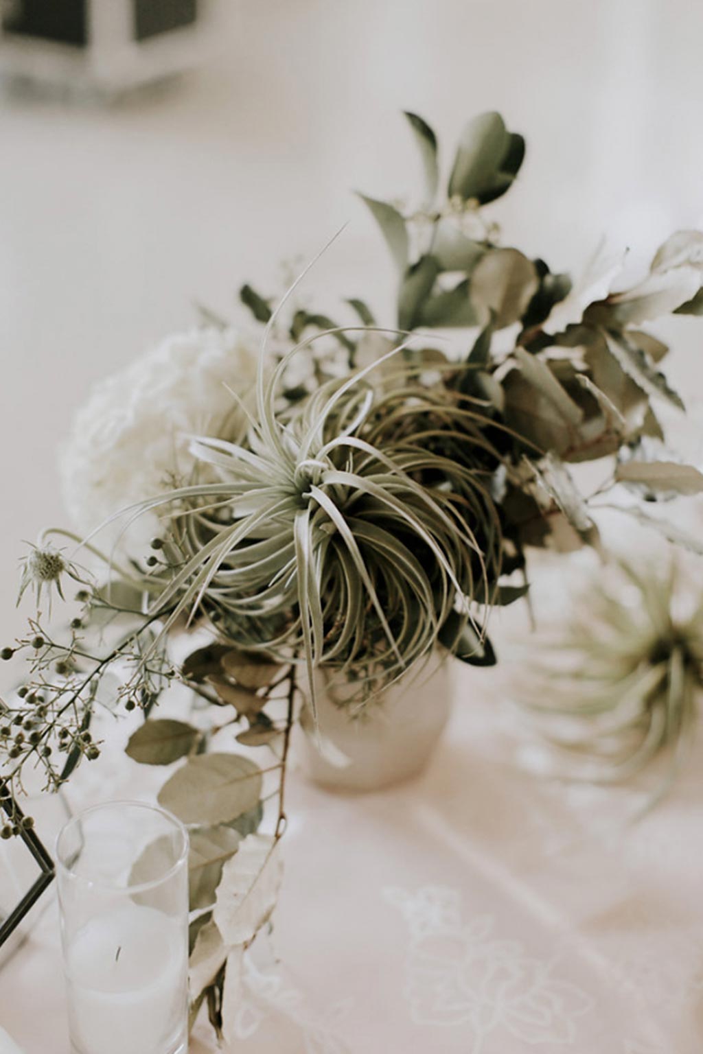 Air plant organic white and green wedding table centerpiece